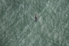 Missing Picture